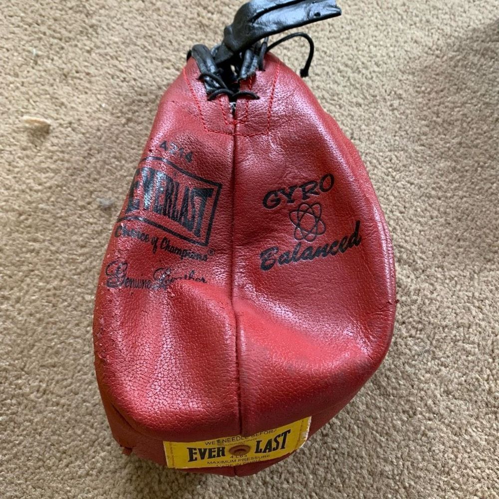 Everlast 4214 Gyro Balanced 4 LB Genuine Leather Punching Bag *Does Not Work*